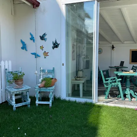 Grandma's Garden 3* דליאן